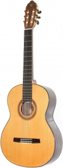 Valencia CG-LTD5
