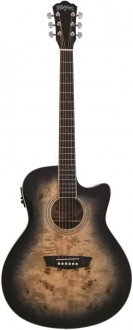 Washburn Burl Ace