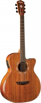 Washburn Comfort G55CE