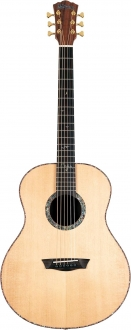 Washburn Elegante S24S