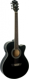 Washburn Festival EA12