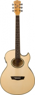 Washburn Festival EA20