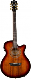 Washburn Festival EA55G