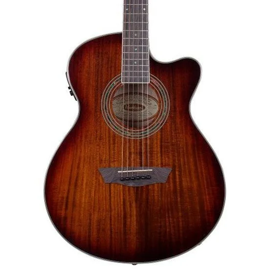 Washburn Festival EA55G