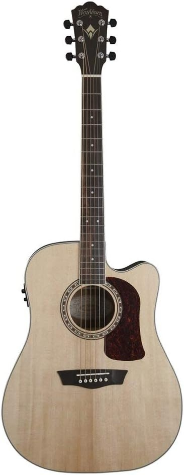 Washburn Heritage 20