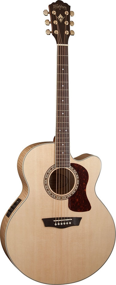 Washburn Heritage 40