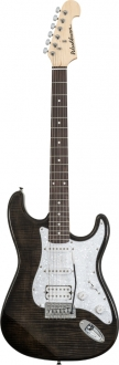 Washburn Sonamaster Delux