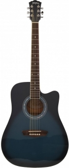 Washburn WA90C