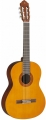 Yamaha C40