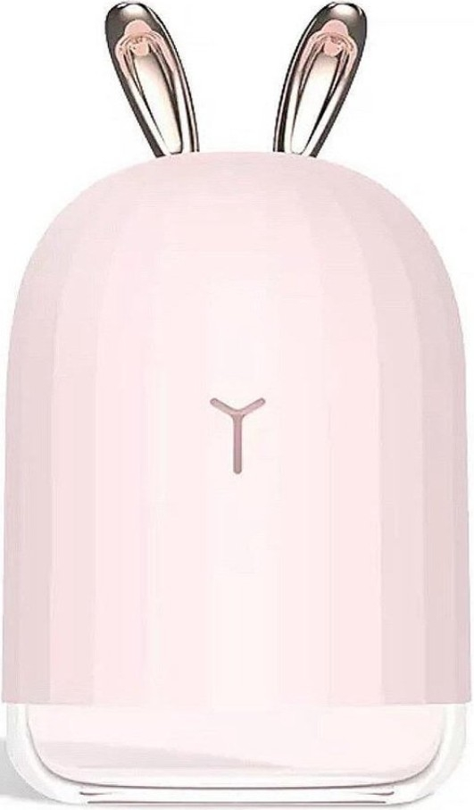 Lovely Humidifier
