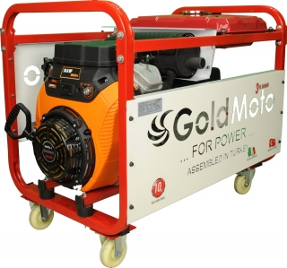 GoldMoto GM17BJG