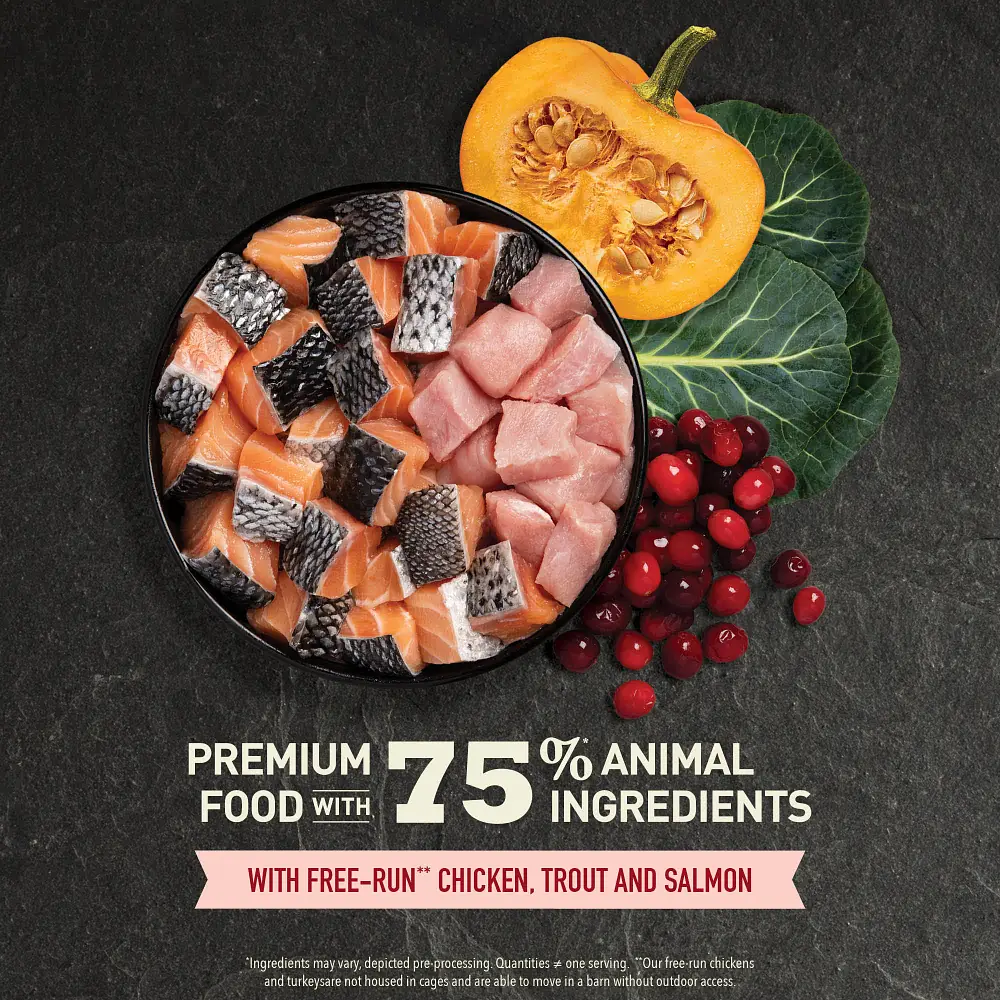Acana Highest Protein (Yüksek Protein) Indoor Yetişkin Kedi Maması 1.8 Kg görsel 4