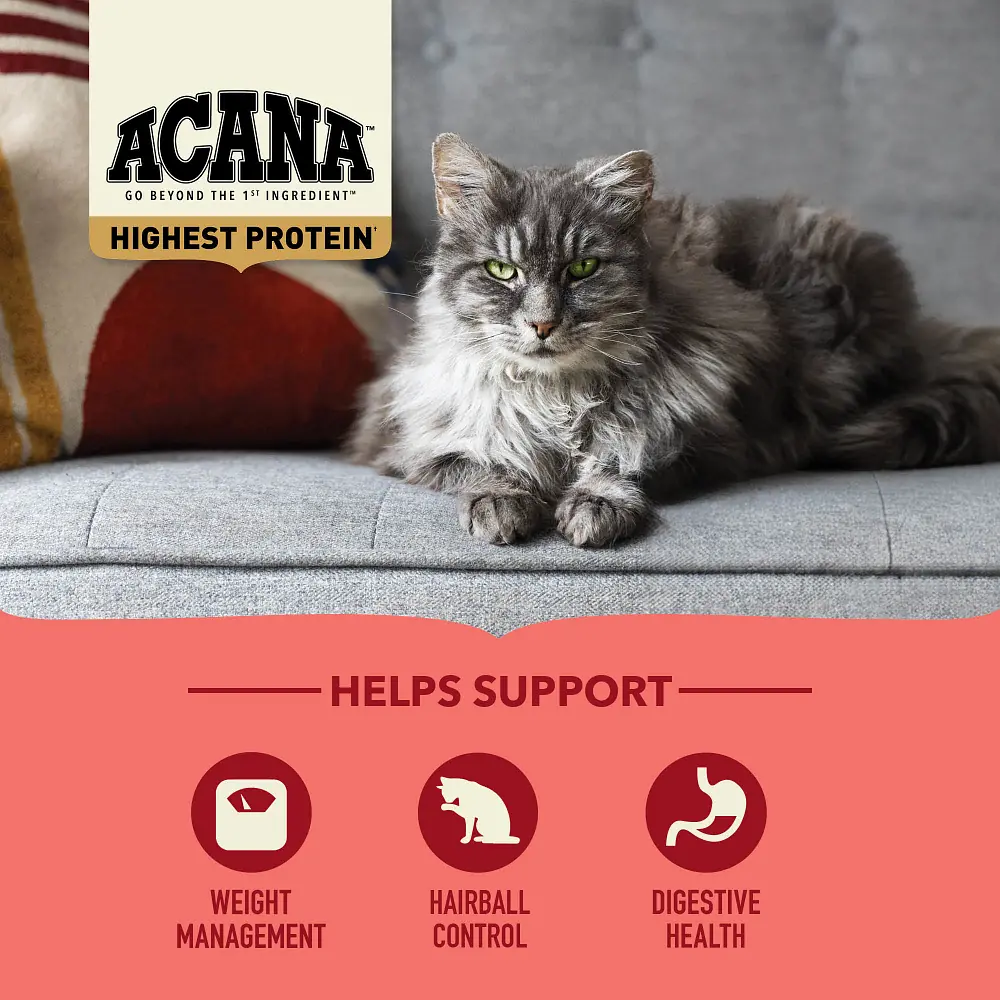 Acana Highest Protein (Yüksek Protein) Indoor Yetişkin Kedi Maması 1.8 Kg görsel 5