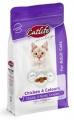 Catlife Tavuklu Multicolor Yetişkin 1 kg
