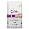 Felicia Mother Kitten Kuzu Etli Yavru 2 kg