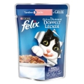 Felix Somonlu Ve Sardalyalı Yetişkin 100 gr