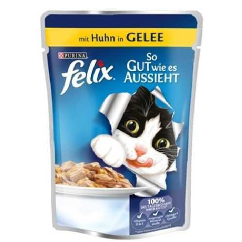 Felix Tavuklu Yaş 100 gr