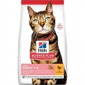 Hill's Feline Light Yetişkin Kuru 3 kg