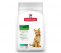 Hill's Science Plan Kitten Ton Balıklı 2 kg