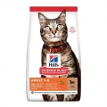 Hill's Science Plan Kuzu Etli Yetişkin 10 kg