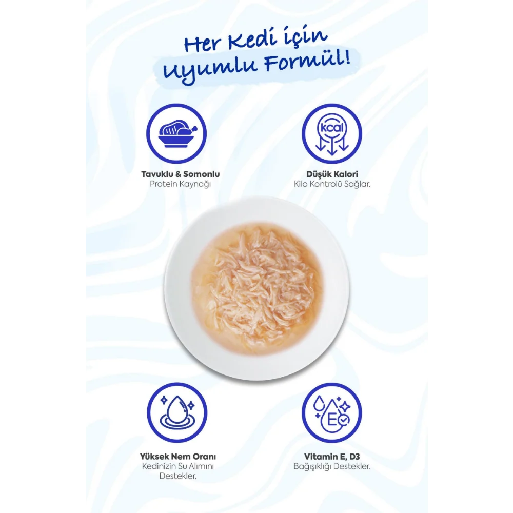 Inaba Ciao Tavuk Sulu ve Somonlu 50 gr