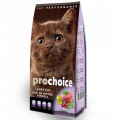 Pro Choice 38 Kitten Kuzu Etli ve Pirinçli 2 kg