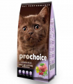 Pro Choice Pro 38 Kitten Kuzu Etli ve Pirinçli 15 kg