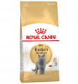 Royal Canin British Shorthair Adult 4 kg