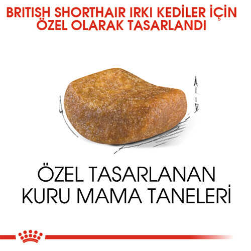 Royal Canin British Shorthair Adult Yetişkin Kedi Maması 10 Kg görsel 3