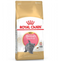 Royal Canin British Shorthair Kitten 2 kg