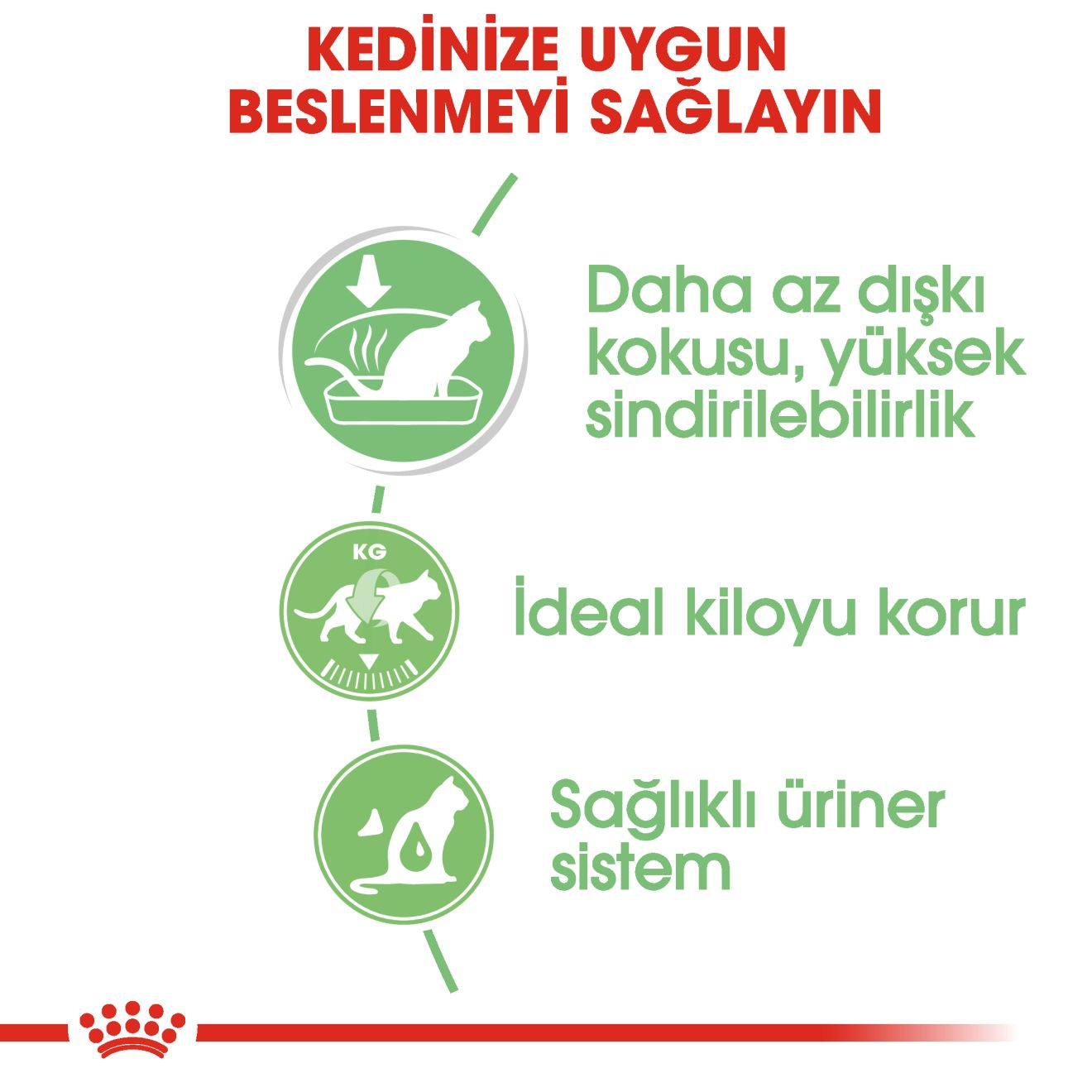 Royal Canin Digestive Care Yetişkin Kedi Yaş Maması görsel 2