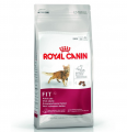 Royal Canin Fit 32 4 kg