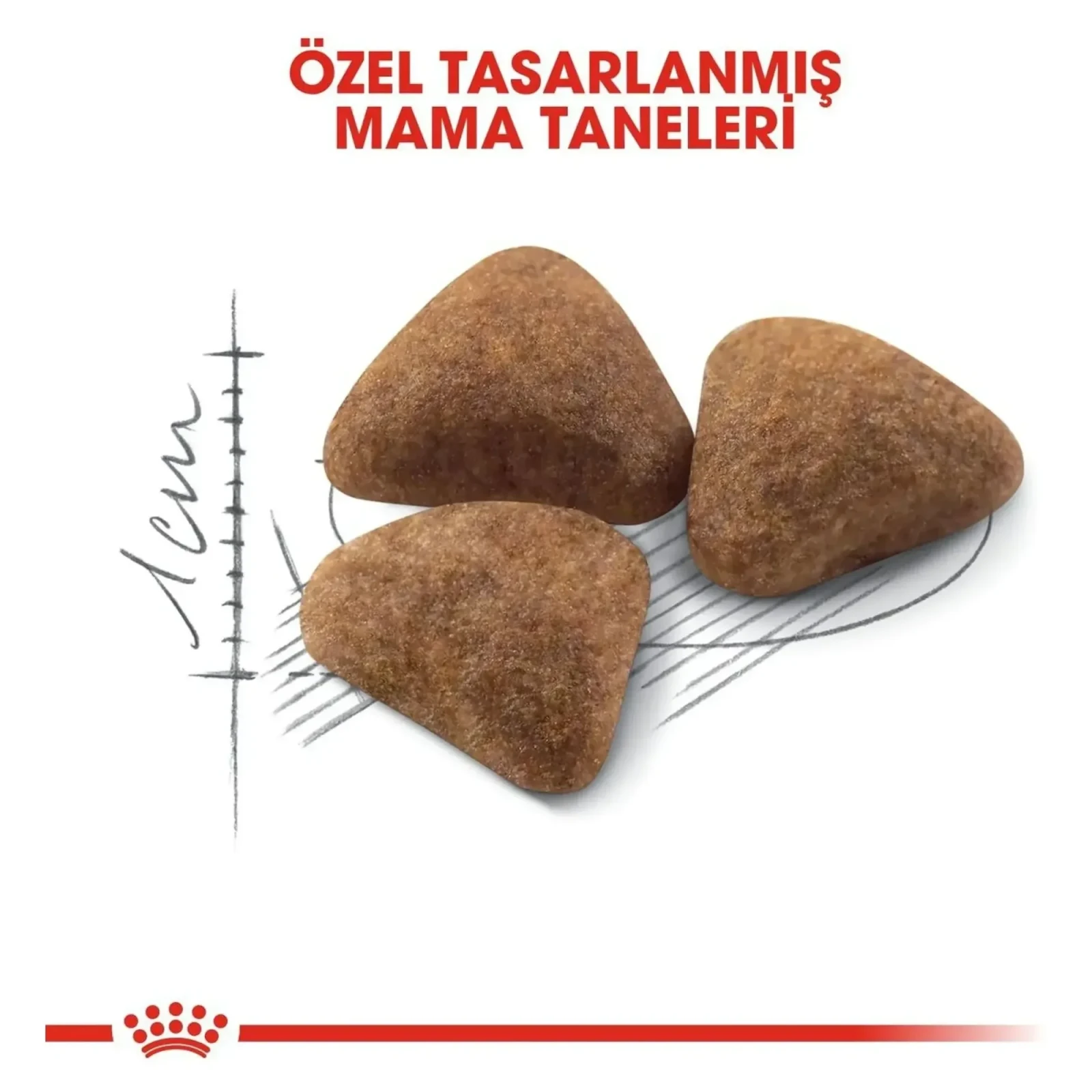 Royal Canin Indoor 27 Yetişkin Kedi Maması 2 KG görsel 4