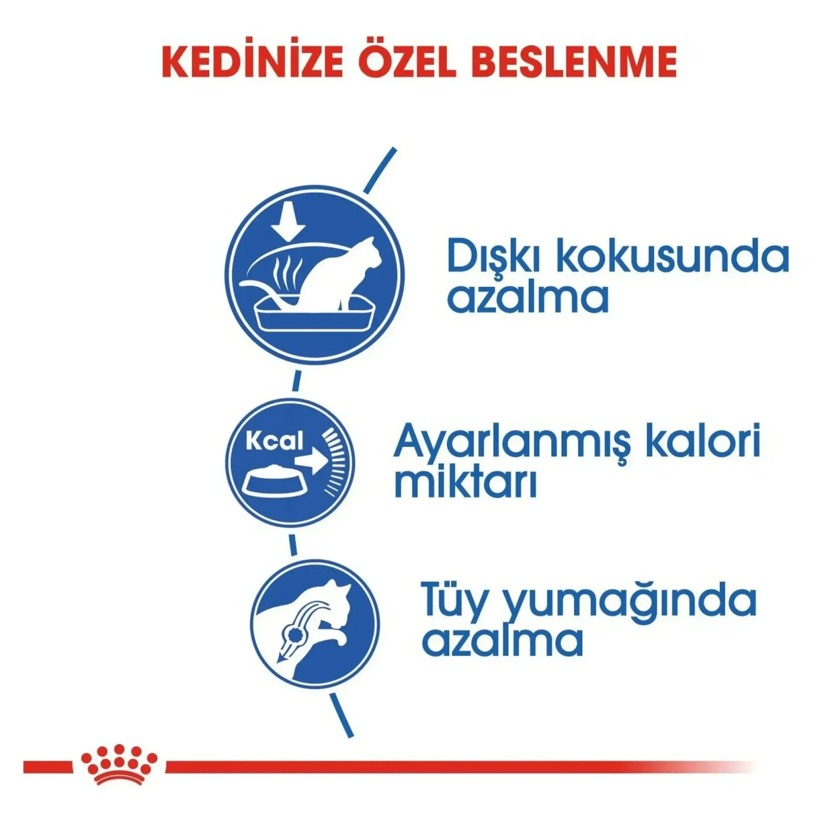 Royal Canin Indoor 27 Yetişkin Kedi Maması 2 KG görsel 5