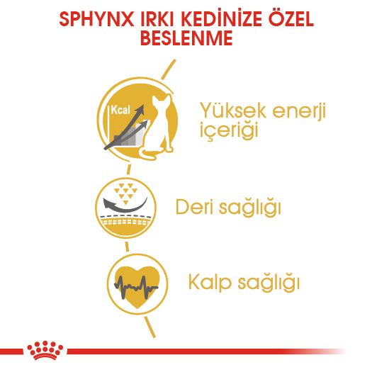 Royal Canin Sphynx Adult Yetişkin Kedi Kuru Maması görsel 2