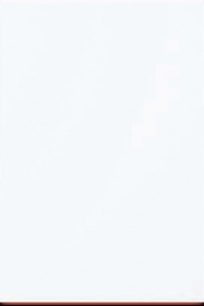 Viessmann Vitodens 100-W 32 Wi-Fi