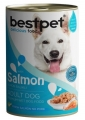 Bestpet Somonlu Yetişkin 400 gr