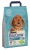 Dog Chow Kuzu Etli Yavru 2.5 kg