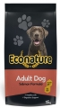 Econature Plus Somonlu Yetişkin 15 kg