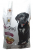 FaceDog Kuzu Etli Pirinçli Yavru 15 kg