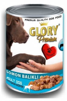 Glory Premium Somon Balıklı Yetişkin 415 gr
