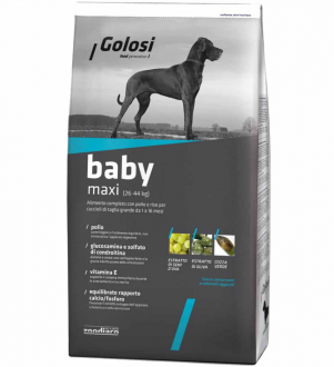 Golosi Baby Maxi Puppy Tavuklu 12 kg