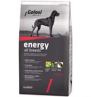 Golosi Energy Adult Tavuk ve Sığır Etli 12 Kg