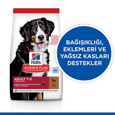 Hill's SCIENCE PLAN Adult Large Büyük Irk Kuzulu Yetişkin Köpek Maması 14Kg görsel 2