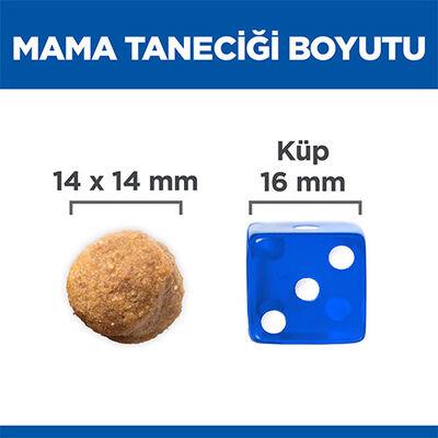 Hill's SCIENCE PLAN Adult Large Büyük Irk Kuzulu Yetişkin Köpek Maması 14Kg görsel 4