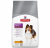 Hill's Science Plan Adult Sensitive Skin Tavuklu 3 kg