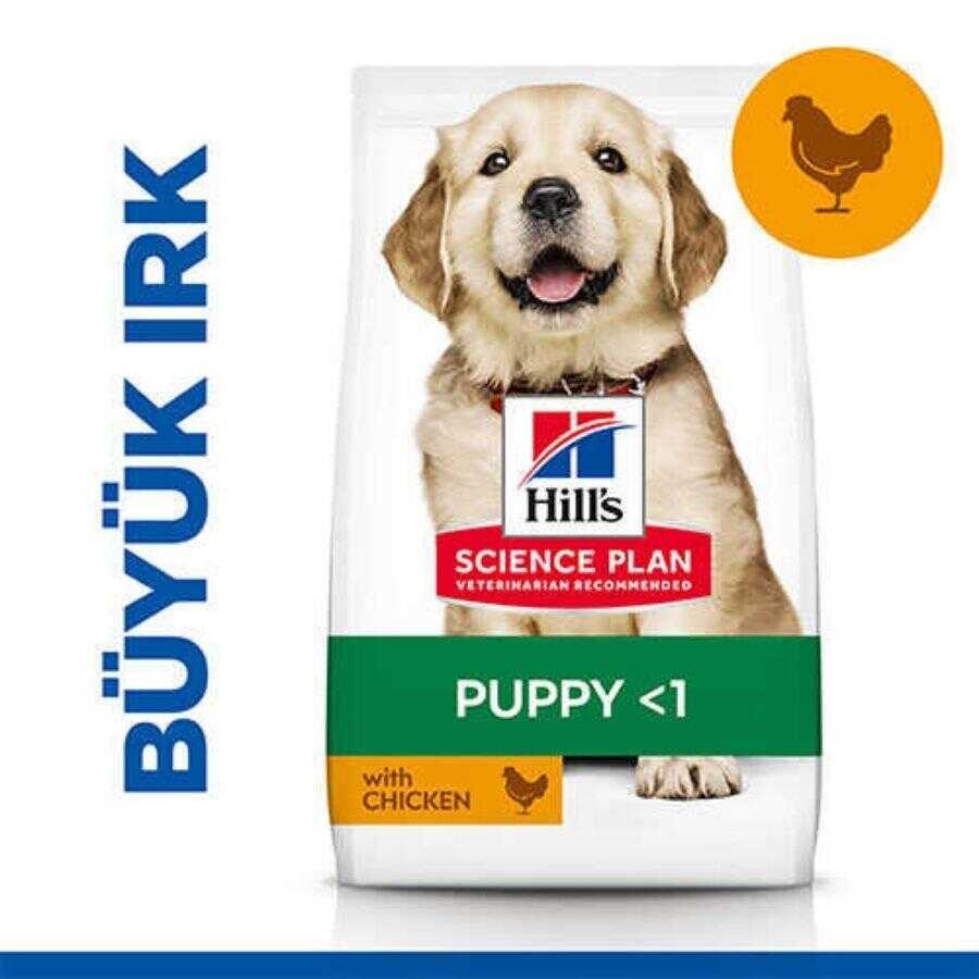 Hill's SCIENCE PLAN Büyük Irk Tavuklu Yavru Köpek Maması 2,5 kg