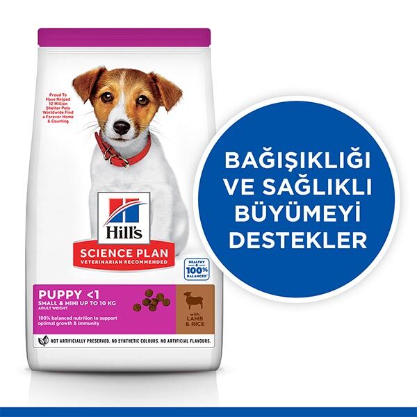 Hill's Science Plan Kuzu Etli Küçük Irk Yavru Köpek Maması 6 kg görsel 2