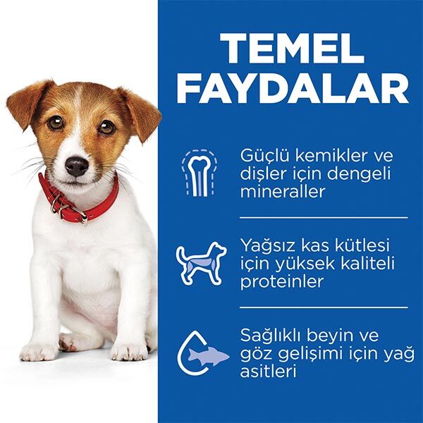 Hill's Science Plan Kuzu Etli Küçük Irk Yavru Köpek Maması 6 kg görsel 3