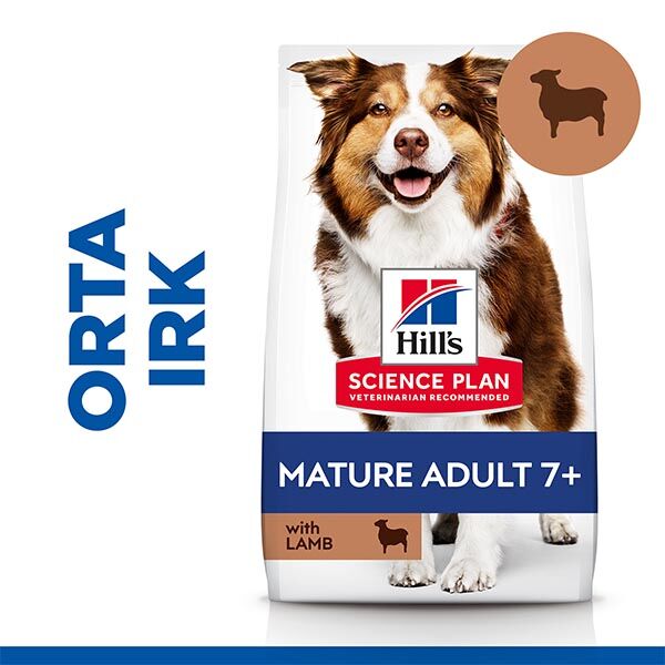 Hill's Science Plan Kuzulu Orta Irk Yaşlı Köpek Maması 2,5 kg